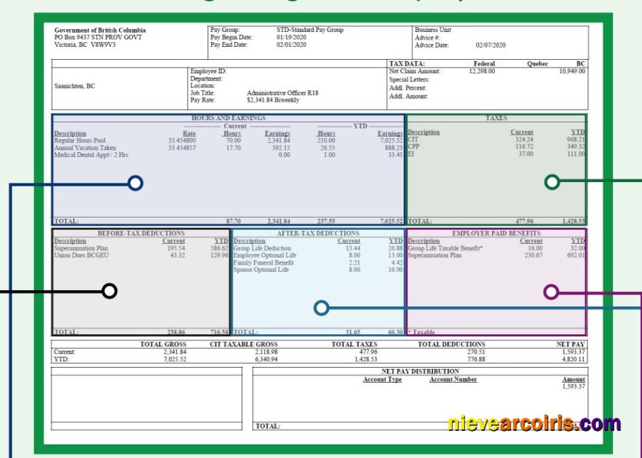 BARGAINING UNIT employee pay stub
